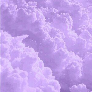 Meet your Posher, Allie